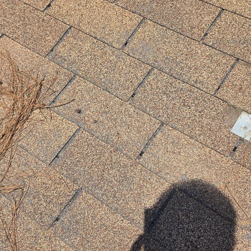Asphalt shingle roof with hail impact marks and pine needles