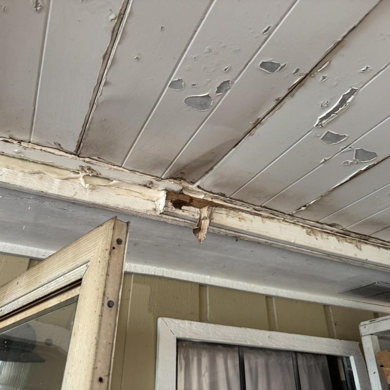 Roof soffit and fascia damage with peeling paint