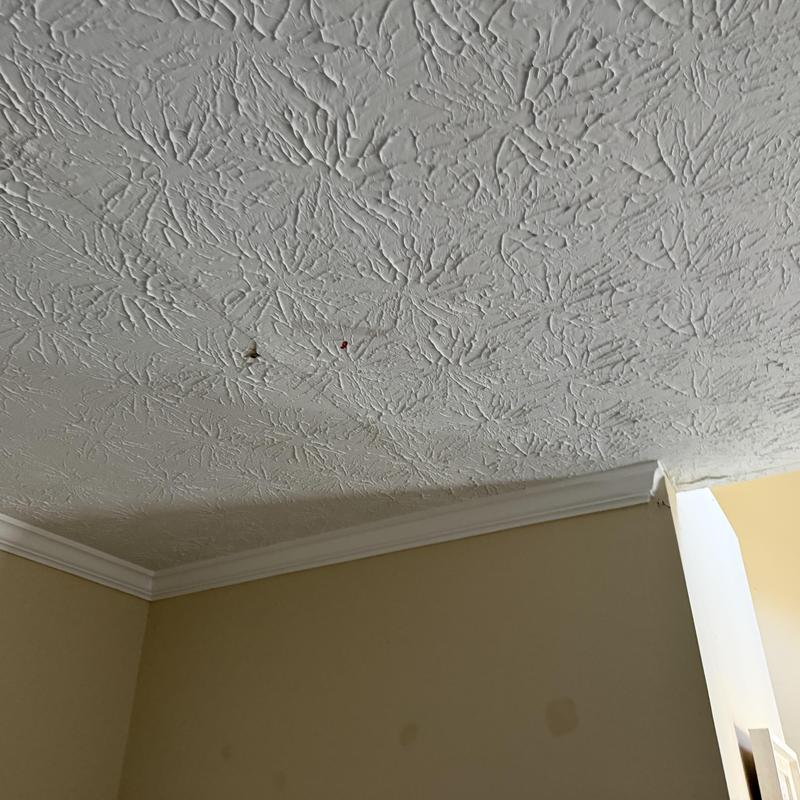 Textured ceiling with water stain and small hole