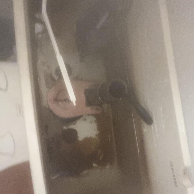 Toilet flush valve with replacement flapper repair