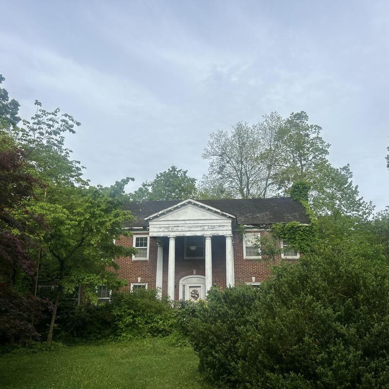 Roof of overgrown brick house needing reroofing in Blountville