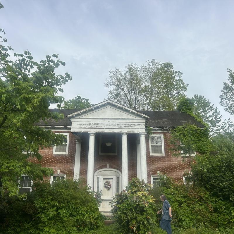 Roof with overgrown vegetation on brick house