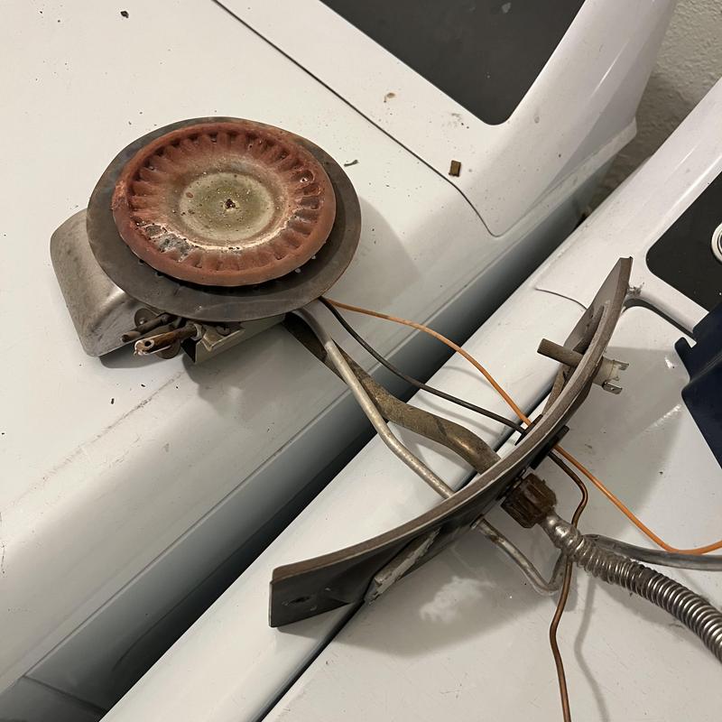 Water heater pilot assembly with wiring and burner ring