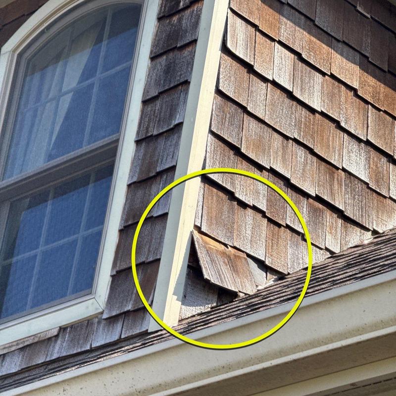 Wooden siding damage near roof flashing inspection