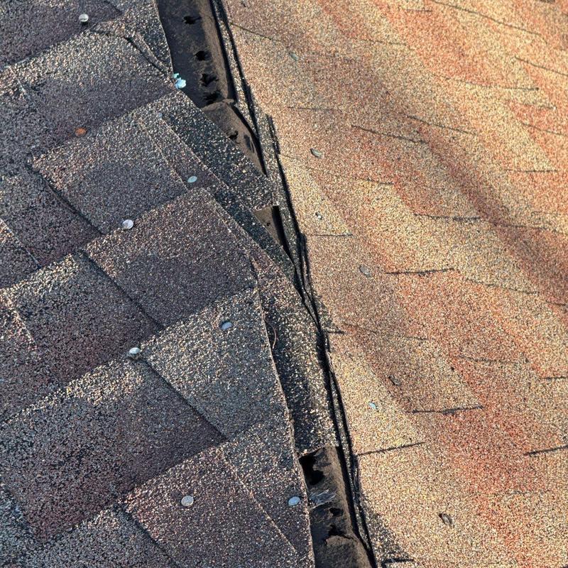 Asphalt shingle roof with hail damage and lifted ridge cap
