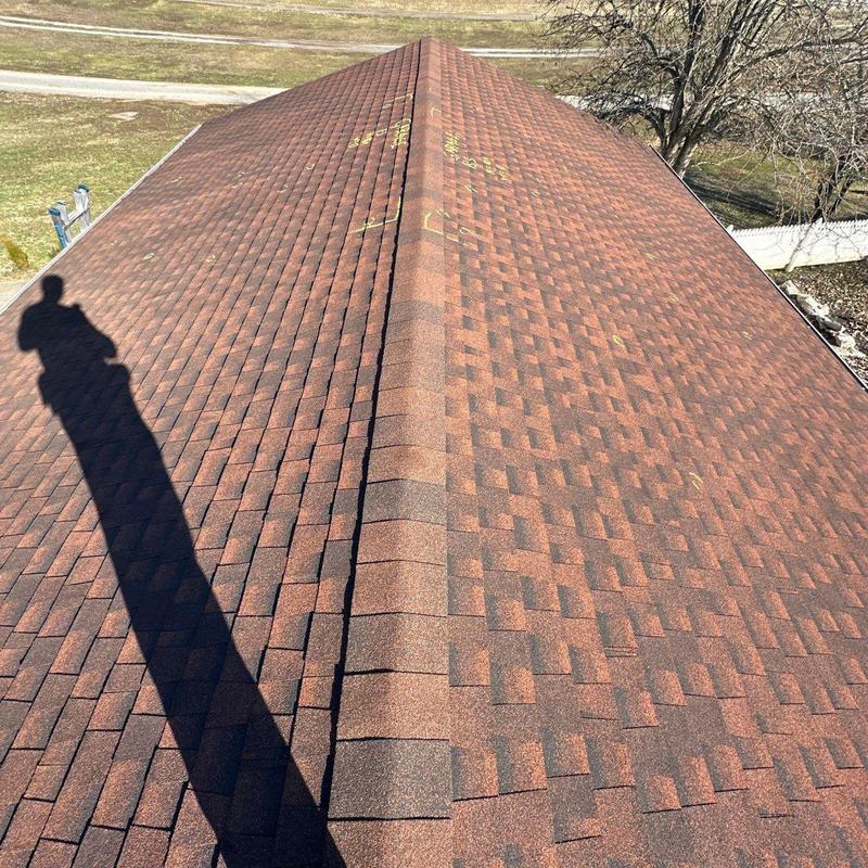 Asphalt shingle roof with hail damage markings
