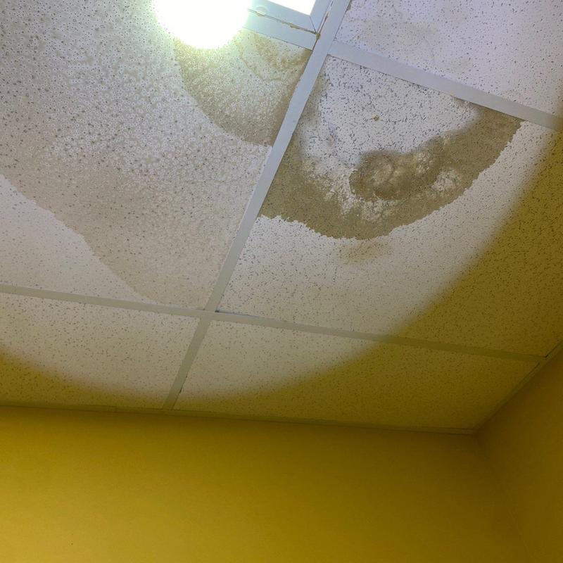 Ceiling tiles with water damage and staining