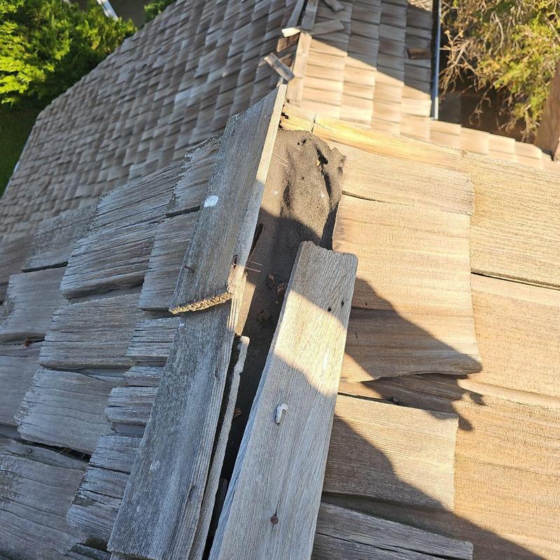 Wood shake roof ridge with split and detached shakes Wood shake roof ridge with split and detached shakes