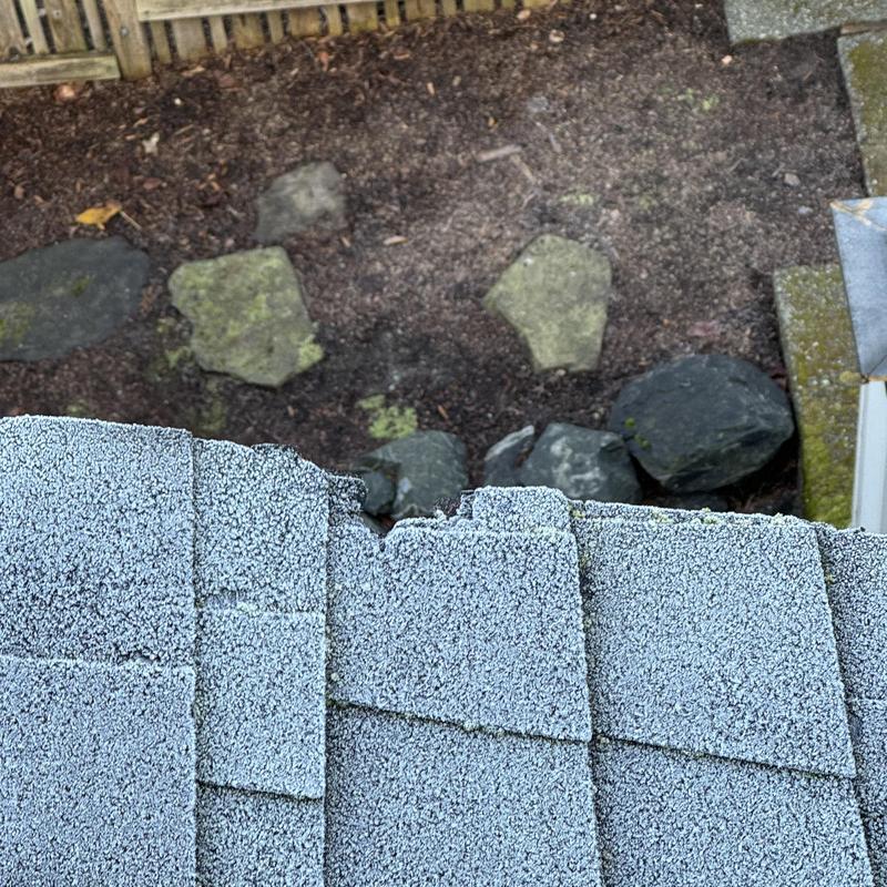 Asphalt shingle roof with visible edge damage