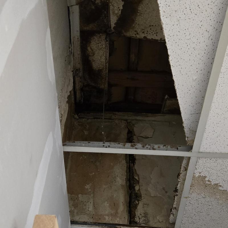 Ceiling tile system with water and ice damage
