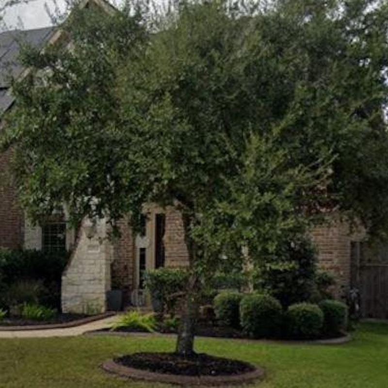 Roof shingles inspection with front yard tree in view