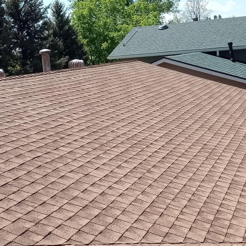 Asphalt shingle roof with confirmed hail damage Asphalt shingle roof with confirmed hail damage