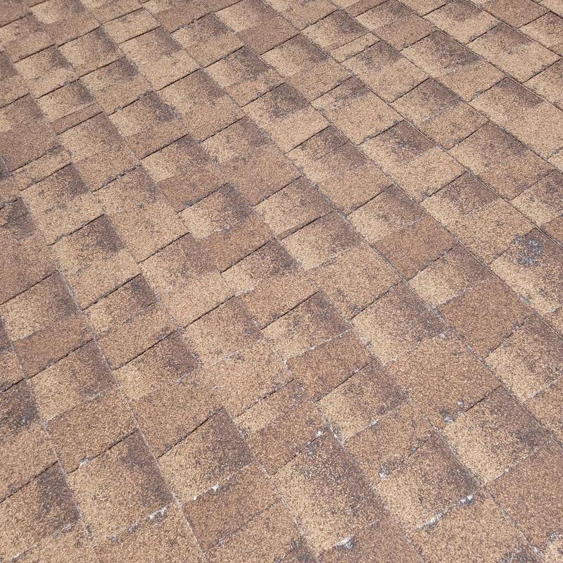 Asphalt roof shingles with hail damage and granule loss Asphalt roof shingles with hail damage and granule loss