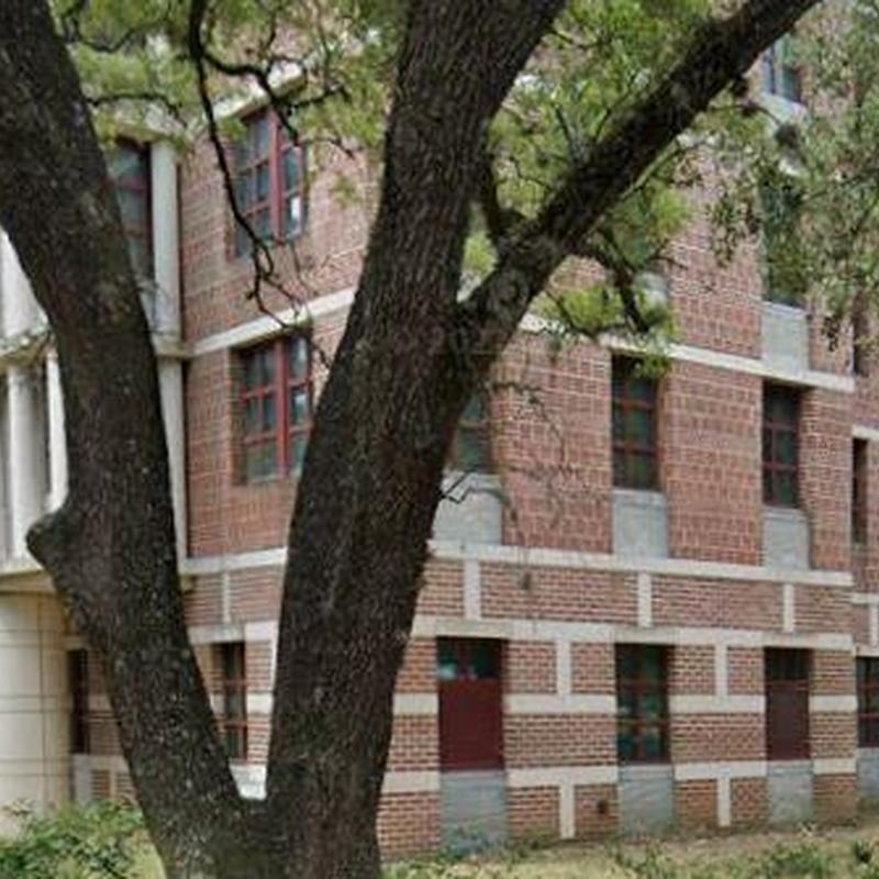 Brick building exterior with large tree in front
