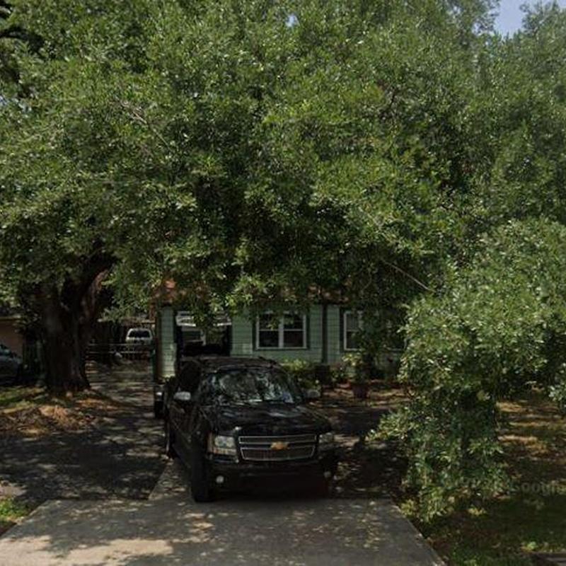Driveway shaded by large oak trees in residential area