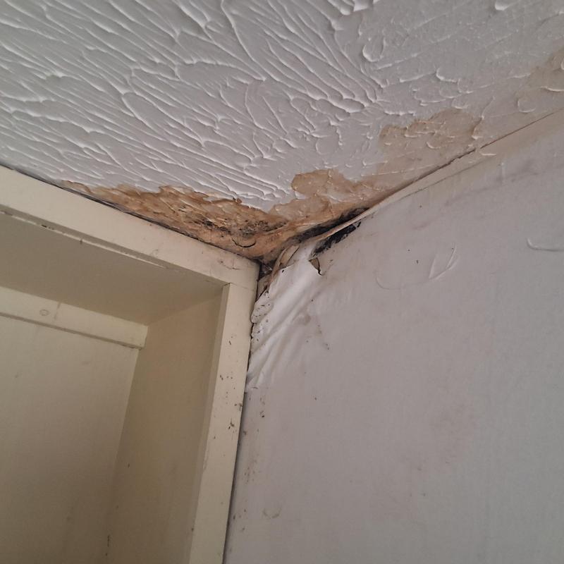Ceiling corner with water damage and mold stains