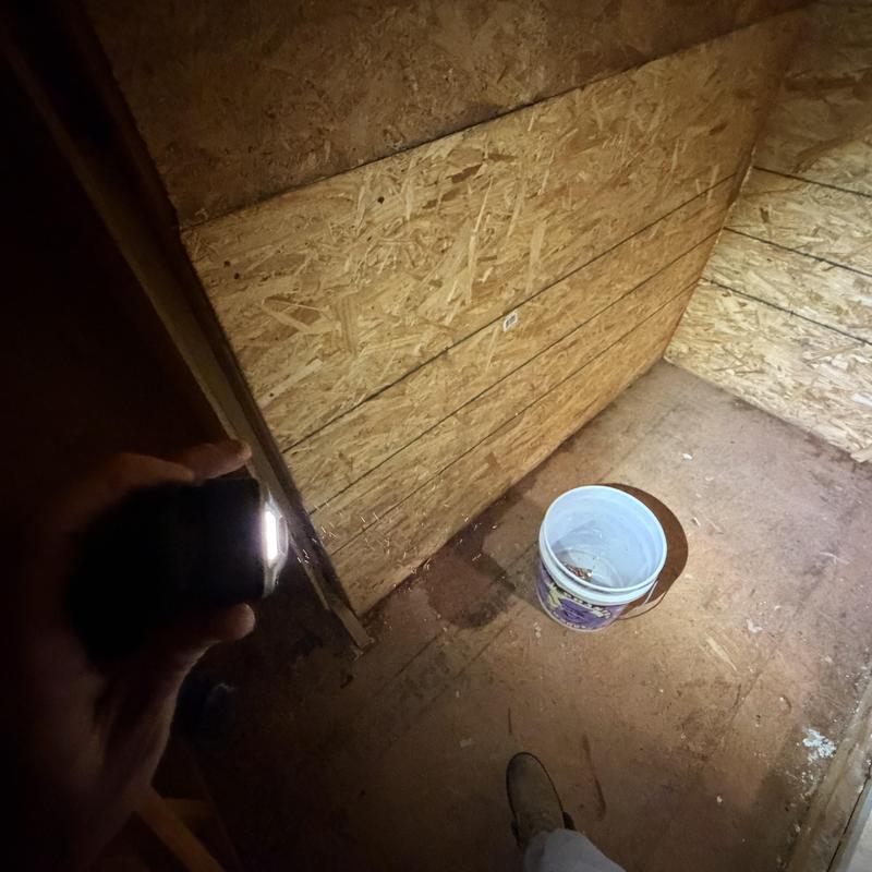 Attic leak stain with bucket for water collection