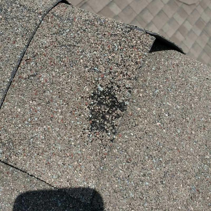 Asphalt shingle with granule loss and damage close-up