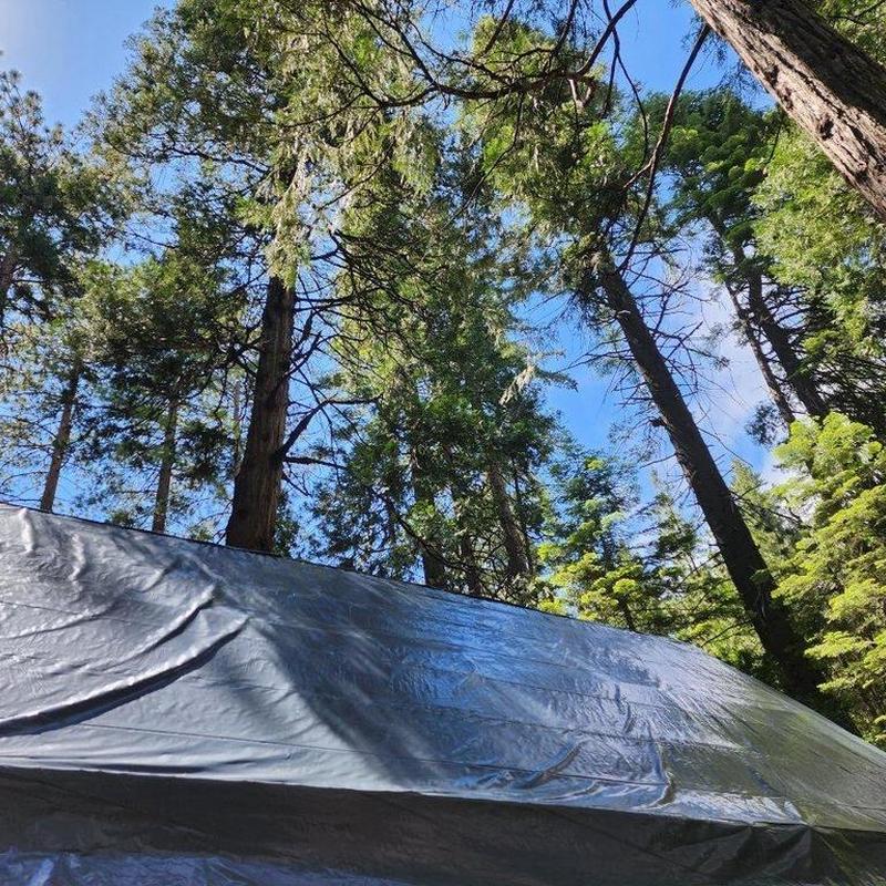 Wood shake roof covered with tarp in forest area