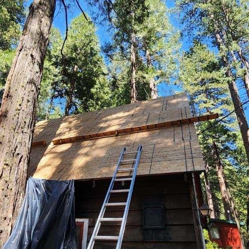 OSB roof deck installation on cabin roof in forest