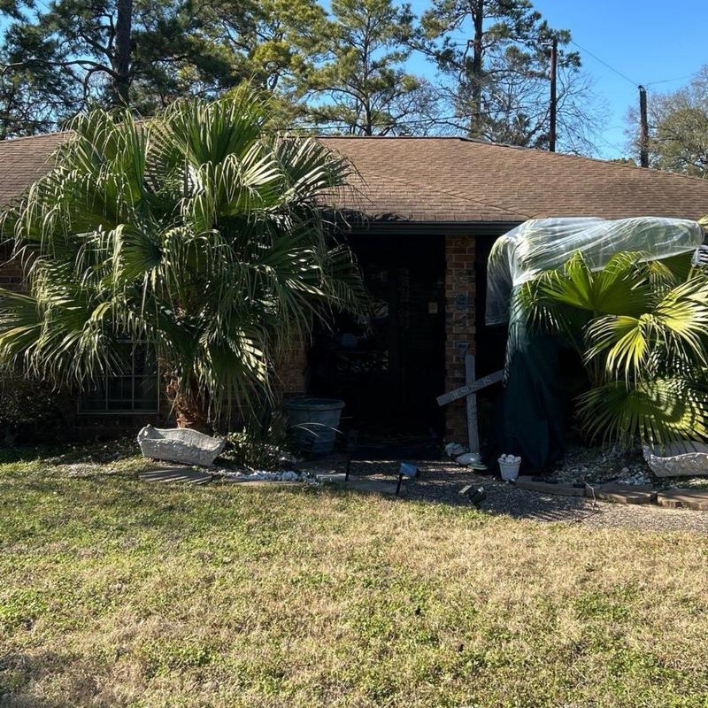 Asphalt shingle roof with surrounding palm trees and lawn