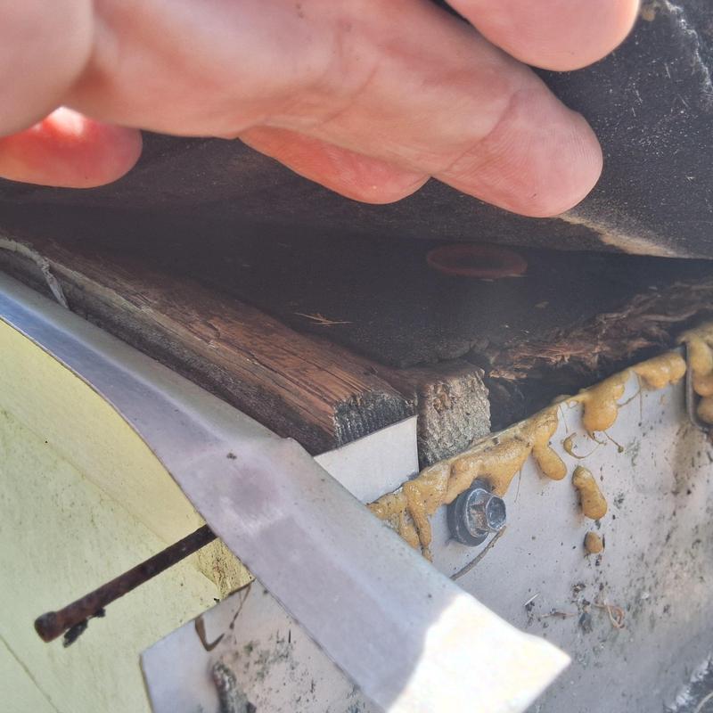 Black Shadow shingle underside with damaged wood and fasteners