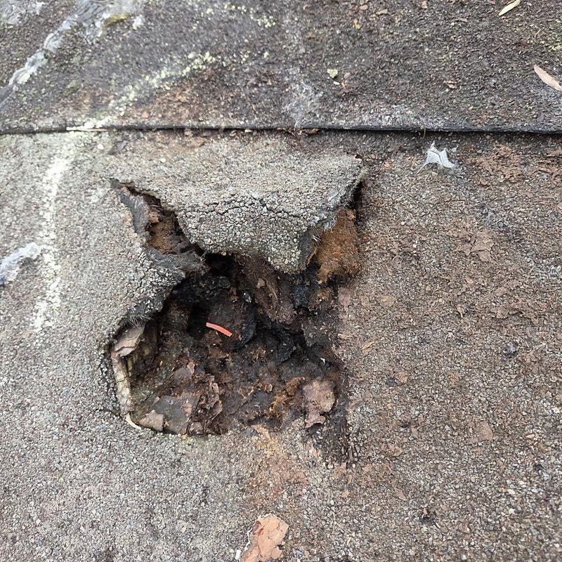 Asphalt shingle roof with damaged and rotting area hole