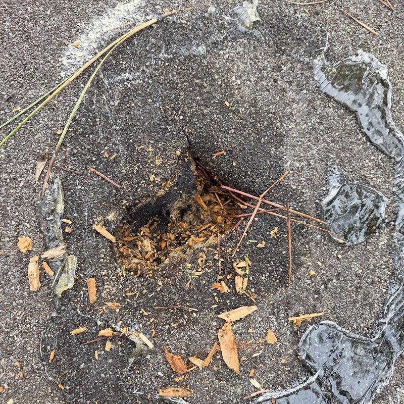 Asphalt roof hot patch with debris and ice