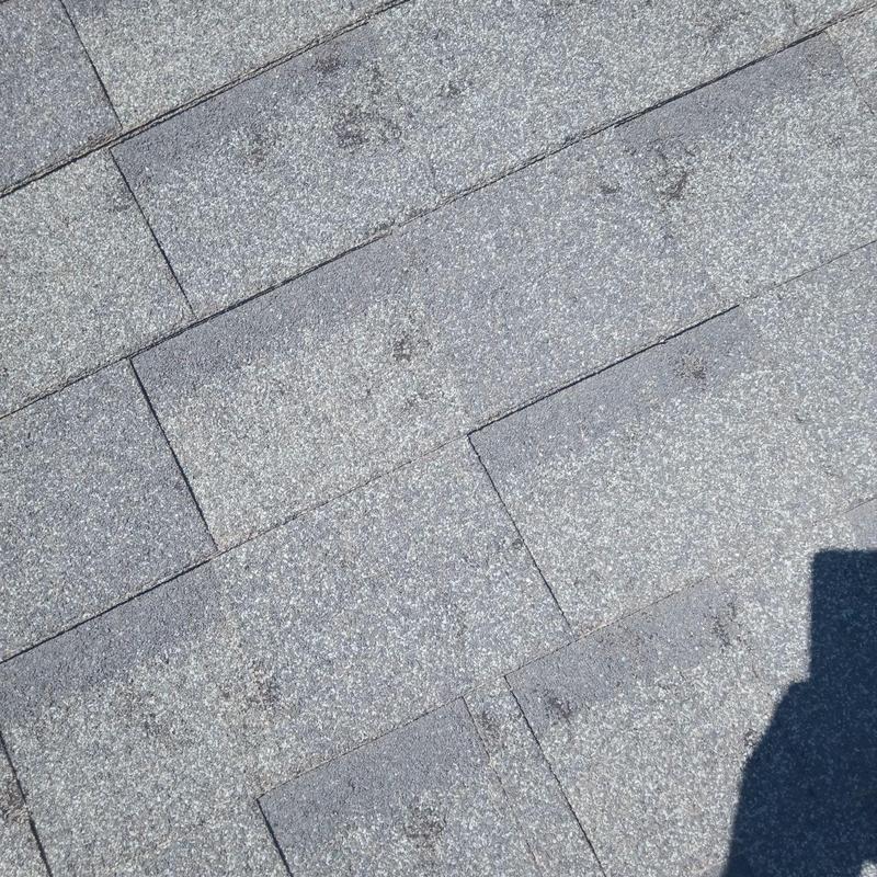 Asphalt roof shingles with hail impact damage Asphalt roof shingles with hail impact damage