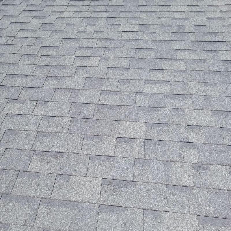 Asphalt shingle roof with hail damage spots Asphalt shingle roof with hail damage spots