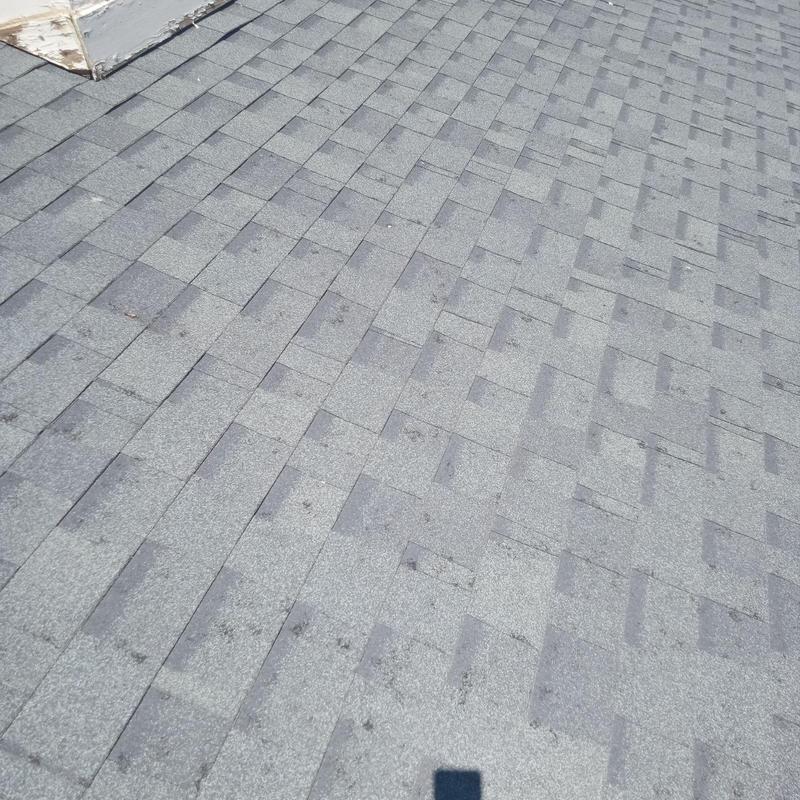 Asphalt shingle roof with hail damage spots Asphalt shingle roof with hail damage spots