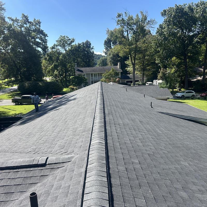 Black shadow shingle roof on residential home