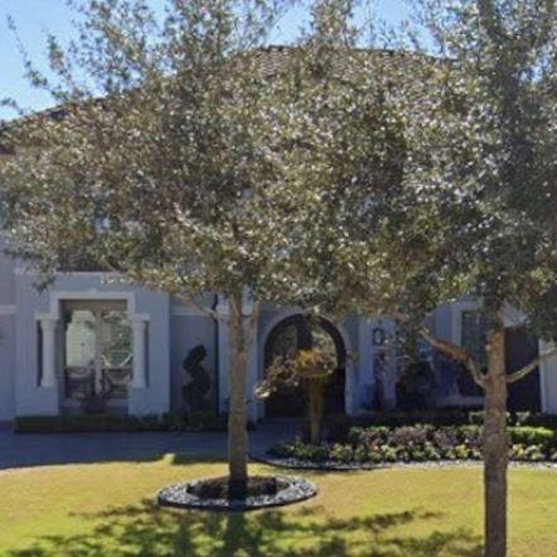 Residential roof with trees and landscaping in front