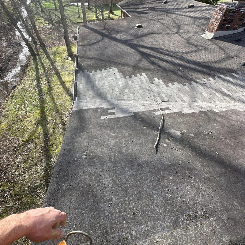 Roof shingles with partial replacement and hail damage