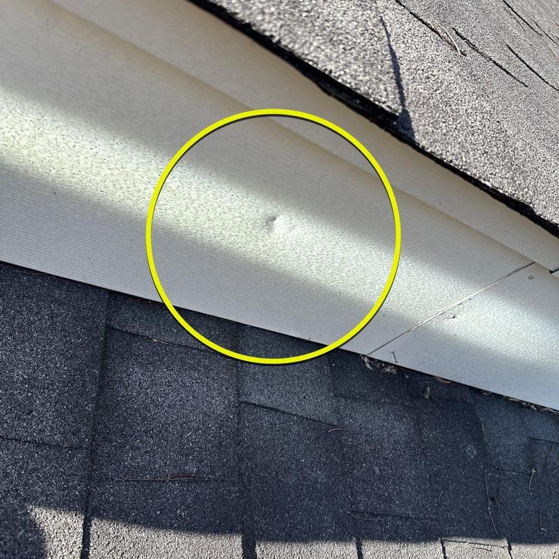 Roof fascia board with dented hail damage detail