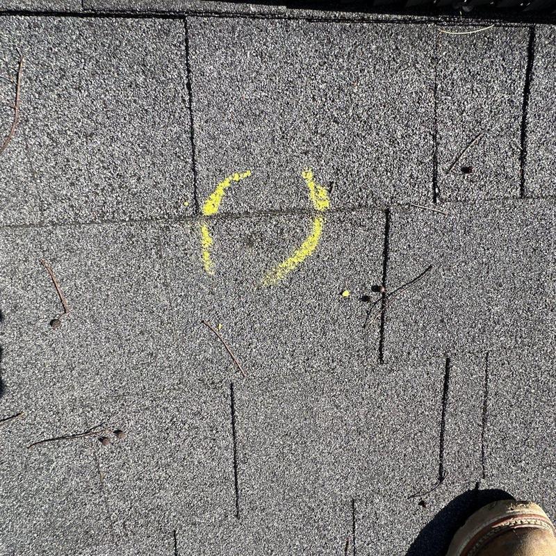 Asphalt shingle with hail damage marked in yellow