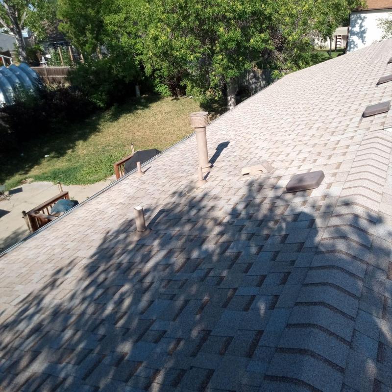 Asphalt shingle roof and vent pipes with no hail damage Asphalt shingle roof and vent pipes with no hail damage