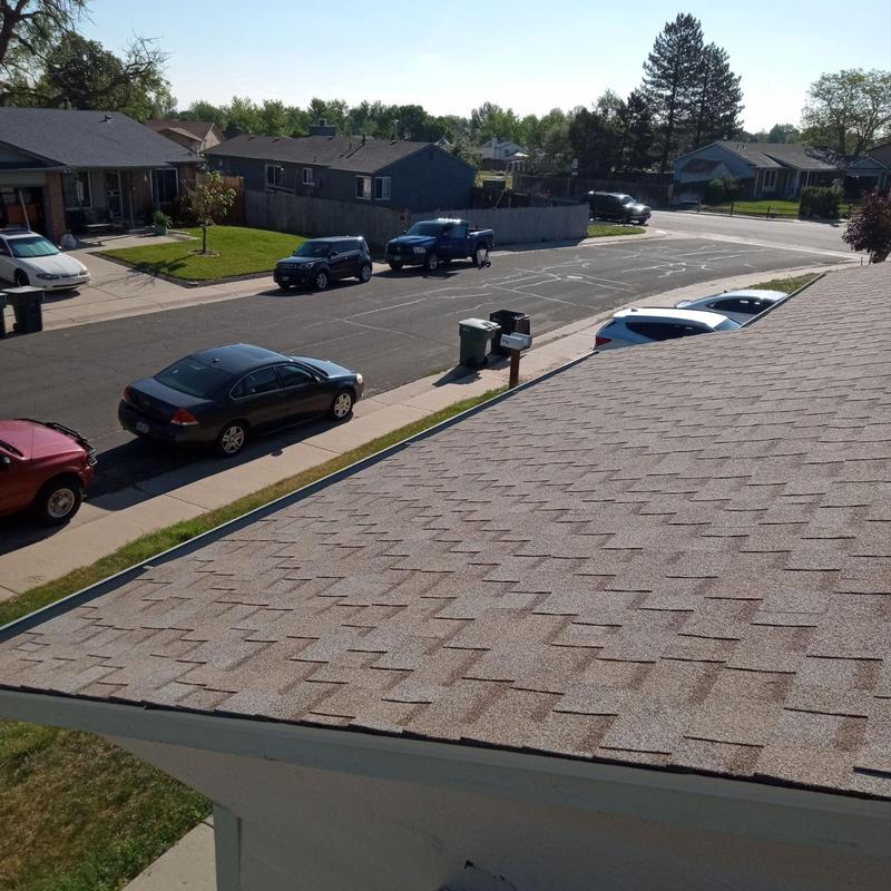 Asphalt shingle roof with no hail damage inspection Asphalt shingle roof with no hail damage inspection