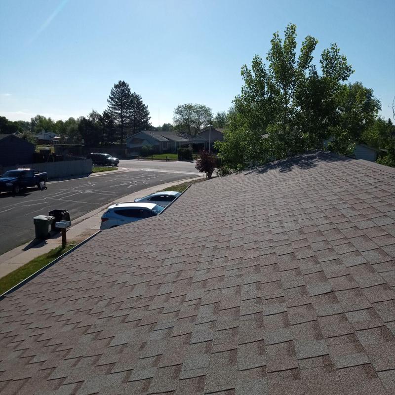 Asphalt shingle roof with no hail damage inspection Asphalt shingle roof with no hail damage inspection