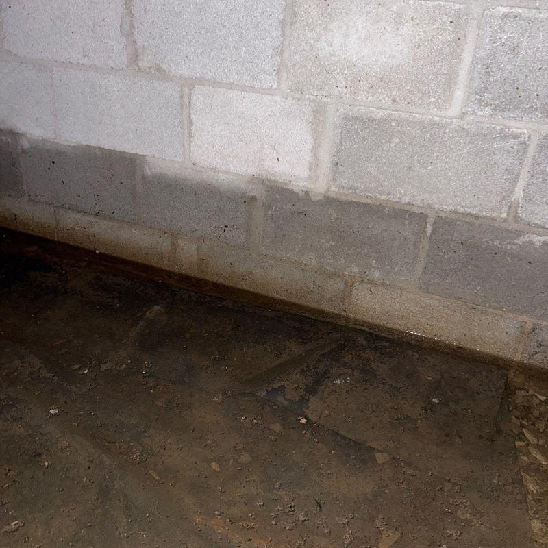 Concrete foundation wall with visible water seepage