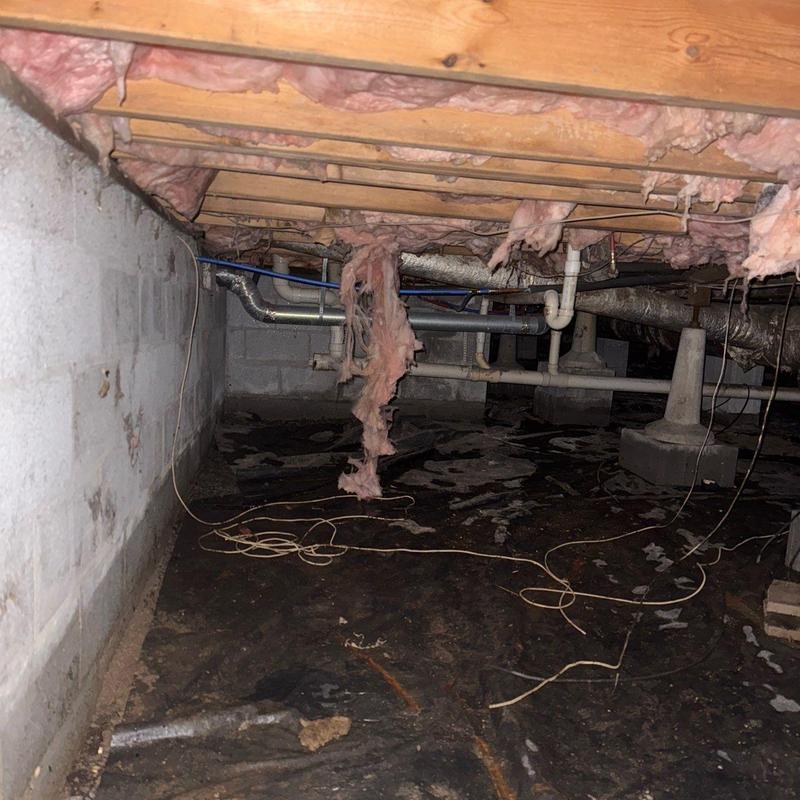 Crawl space insulation with damaged hanging fiberglass batts