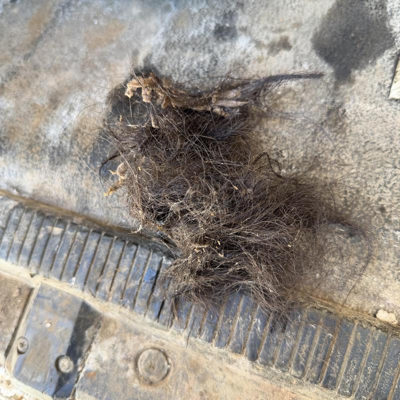 Building sewer main line clogged with hair debris