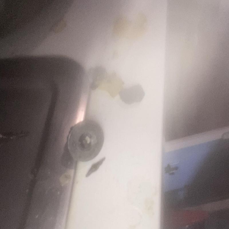 Garbage disposal interior showing metal nut obstruction