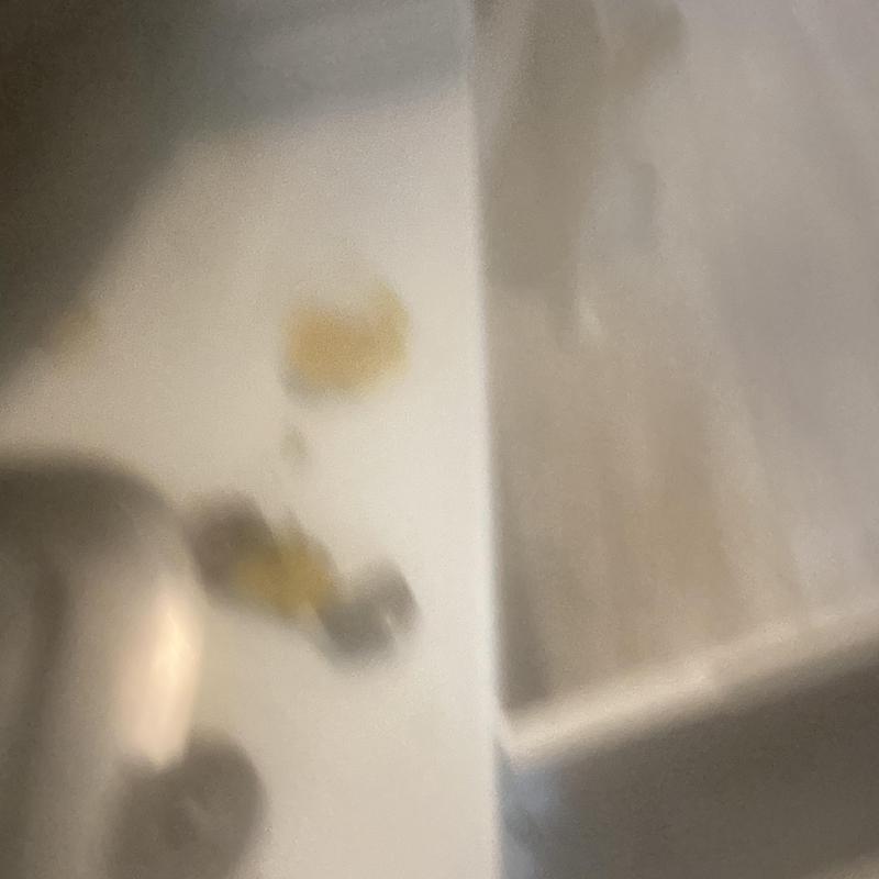 Garbage disposal with removed metal nut obstruction