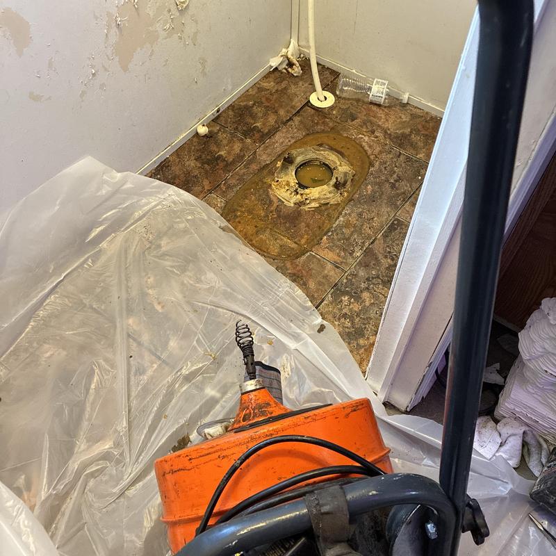 Toilet flange and drain clearing with plumbing auger