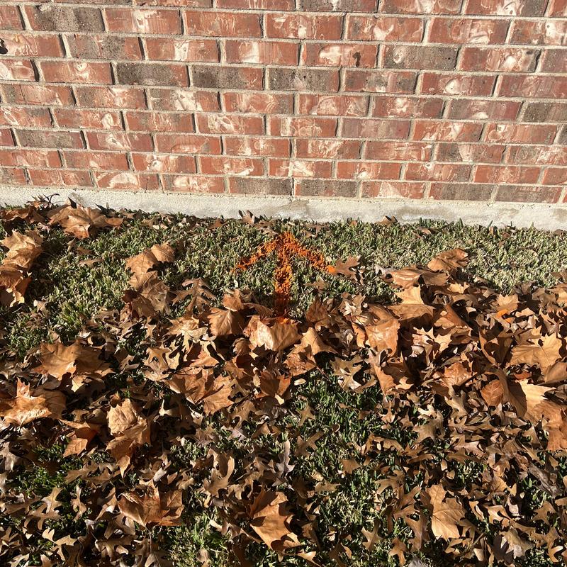 Water line leak detection mark on grass near brick wall