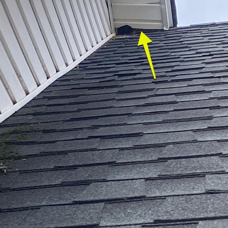 Asphalt shingle roof with vent damage and debris buildup