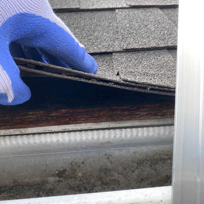 Asphalt shingles lifted to inspect wood decking decay