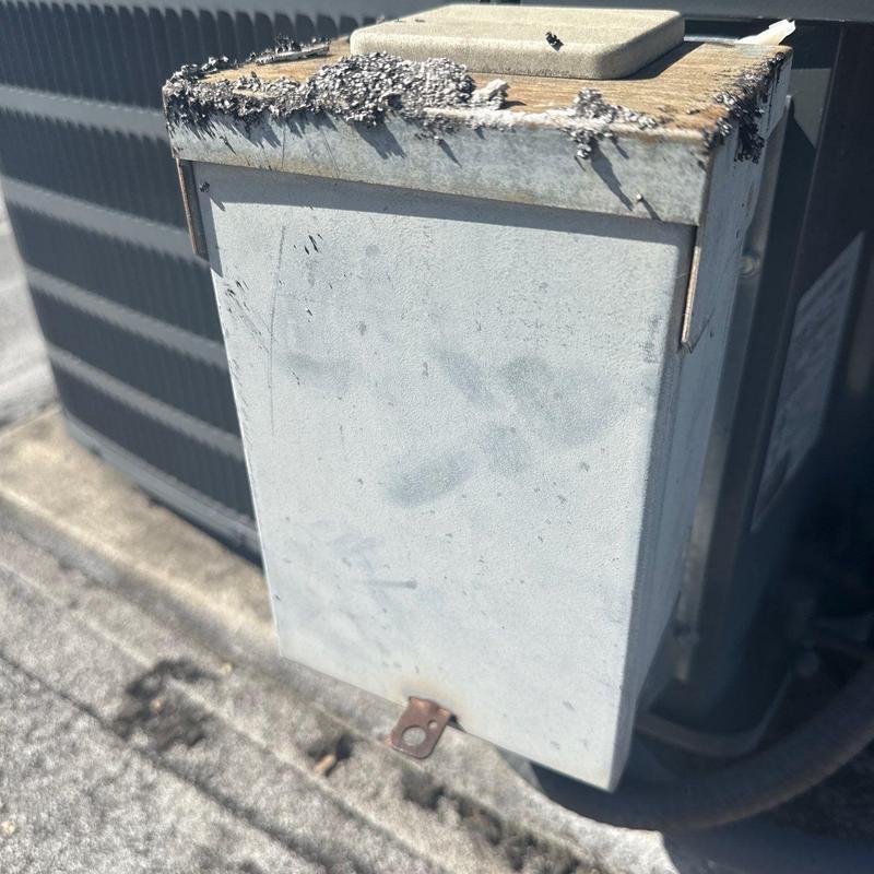 Electrical disconnect box with damaged wooden mounting panel