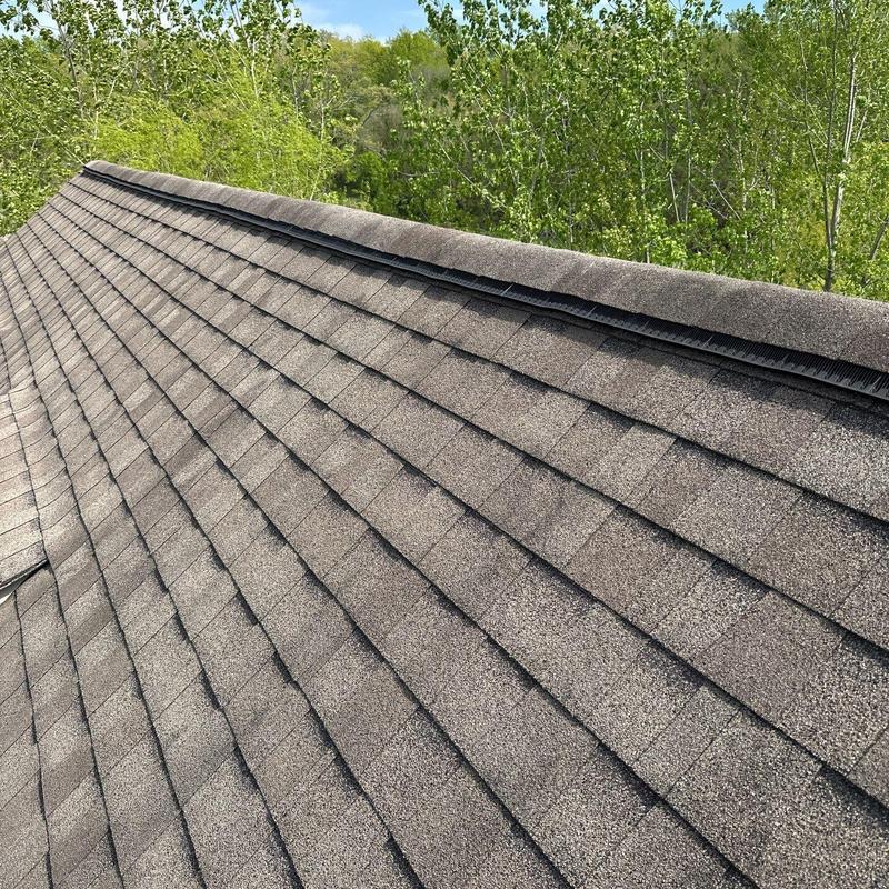 Asphalt shingle roof with ridge vent and tree backdrop